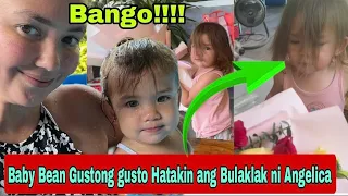 Anak ni Angelica Panganiban na si Baby Bean Nagustuhan ang Bulaklak at Gustong gusto pang Hatakin