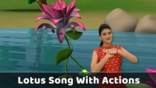 Lotus Flower Song With Actions | Flower Rhymes For Babies | Learn Flowers For Kids | Toddlers Songs