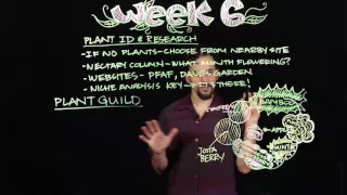 Permaculture Design Course Week 6 Overview