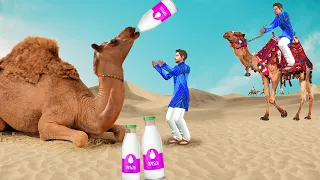 Camel Drinking Buffalo Milk Doodhwala Hindi Kahaniya Hindi Moral Stories New Funny Comedy Video