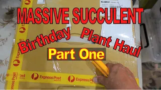 MASSIVE SUCCULENT Birthday Plant Haul | PART 1