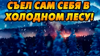 Съел сам себя в холодном лесу! [The Wild Eight]