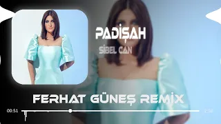 Sibel Can - Bu Devirde Kimse Sultan Değil ( Ferhat Güneş Remix )