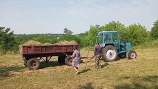 Возимо сіно. спека нас не залишає.