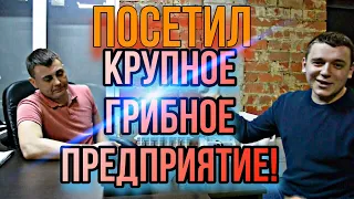 РУБРИКА- ГРИБНОЙ ДОЗОР! Посетил предприятия по выращиванию шампиньонов!