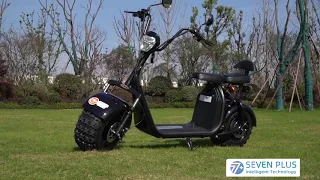 Electric scooter with 3000w 2000w powerful two fat wheel citycoco