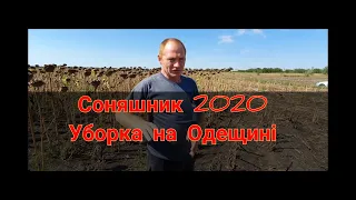 Уборка соняшнику 2020- рекорд района 23/ца.Одещина.Гібрид ЕС Альфа під гранстар