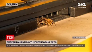 "Дилери майбутнього" | Як бджоли стали локомотивом української економіки