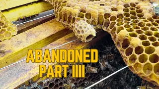 The Abandoned Hives are Doomed | The Late Season Inspection is Bad!