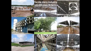 EuroDairy webinar - Managing heat stress in dairy cattle