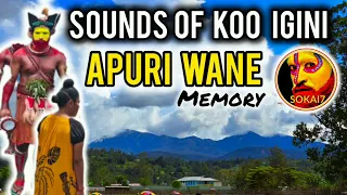 SOUNDS OF KOO IGINI - Apuri Wane (2024 PNG Latest Music)