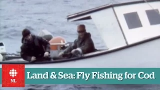 Land & Sea: Fly fishing for cod in Portugal Cove South