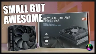 This low profile cooler is so small... The Noctua NH-L9.