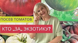 ТОМАТЫ РАЗНЫХ ЦВЕТОВ-СЕЕМ УКРАШЕНИЕ В ОГОРОДЕ!😇😍ПОСЕВ БЕЗ ПЕРЕВАЛКИ!Рассада ВЕЗДЕ!🪴