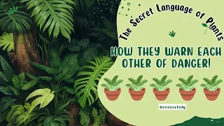 The Secret Language of Plants : How They Warn Each Other of Danger! | #languageofplants #plants