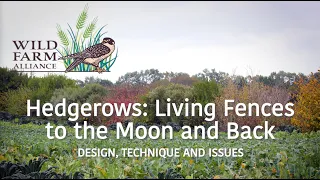 Hedgerows: Living Fences to the Moon and Back