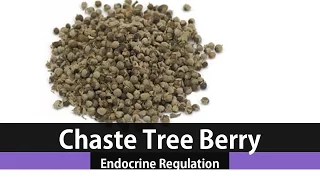 The Health Benefits Of Vitex Chaste Tree Berry