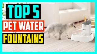 ✅Top 5 Best Pet Water Fountains in 2024 Reviews