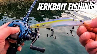 Late Fall Jerkbait Bass Fishing - 6th Sense Fishing Provoke Jerkbait