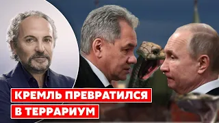 Шустер о последствиях освобождения Херсона для российской власти