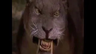 Sabertooth (2002) Sabertooth vs Leon