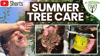 Surviving The Hottest Days | TOP TWO (2) Tree Care Tips