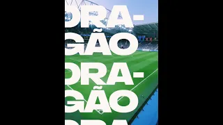 FIFA 22 | New Fc Porto Stadium "Do Dragao"