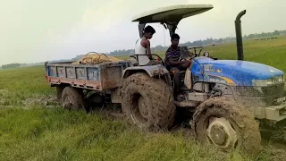 New Holland 55hp tractor bad performance in mud || Bengal Village Tractor 🚜😭