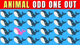 Odd One Out: Animal Edition