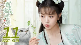 ENG SUB [Be My Cat] EP11 | Fantasy Romance | Kevin Xiao,Tian Xi Wei | KUKAN Drama