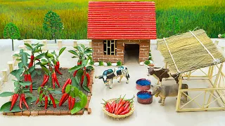 DIY how to make cow shed | house of animals  | Harvesting Chili Garden  | woodwork #09