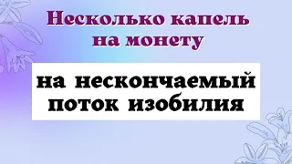 Как сделать лучший денежный магнит. Неразменная монета. Ритуал на монету.