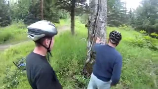 Cyclists Charged by Moose Kinkaid Park Anchorage AK