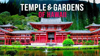 Hoomaluhia Botanical Garden + Byodo -in Temple Vlog | Two Local Gems in Kaneohe