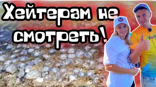 #Кучугуры. Это не может не раздражать! Азовское море в разгар сезона. (Папа с Юга)