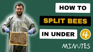 How I Split My Beehives - Try This!