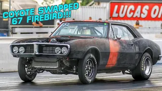 Coyote Swapped 67 Firebird Hits The Track!