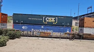 Amtrak and Union Pacific Z trains meet in downtown El Paso TX 05/26/24