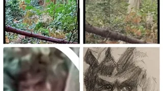 A Very British Wildman.  Is this an image of the UK Bigfoot? and the NE Accounts