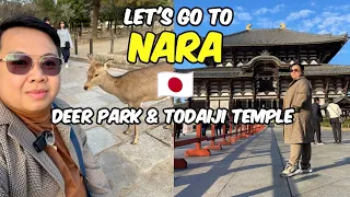 Let's go to Nara Park & Todaiji Temple! + Eating Authentic Tsukemen Ramen 🇯🇵 | JM BANQUICIO