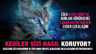 Eğer Kedileriniz'de bunları görürseniz Zaman kaybetmeden o evden uzaklaşın. Kedilere verilen Sır!