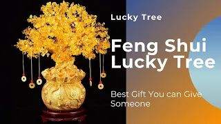 Crystal Feng Shui Lucky Money Tree Home Table Decoration Gift