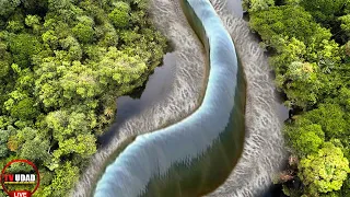 Ngeri !! Peneliti Rekam Ular Raksasa Dari Helikopter Berenang di Sungai Jalur Khatulistiwa...