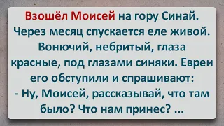 ✡️ Восхождение Моисея! Еврейские Анекдоты! Выпуск #177