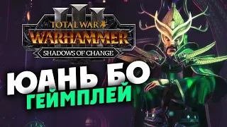 Юань Бо - DLC Тени перемен для Total War Warhammer 3 - на русском (новый лорд Великого Катая)