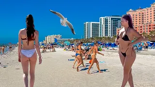 Clearwater Beach Florida. Florida Best Beaches Guide 4K Walking Tour