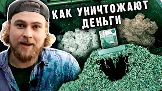 Деньги убивают природу. Как утилизируют ветхие купюры // Сортировочная