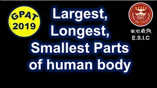 Human body: Largest Smallest longest parts of body Important for GPAT and ESIC