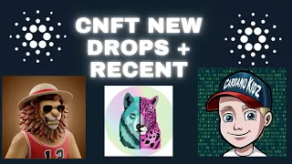 NEW CNFT DROPS AND RECENT INFO ! ADA Exotics NFT Collection !