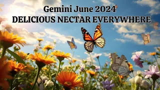 Gemini June 2024 DELICIOUS NECTAR EVERYWHERE Gemini Season is HERE!